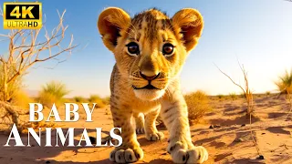 Amazing World Of Young Animals - Relaxing Music That Heals Stress, Baby Animals 4K