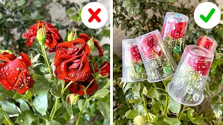 Tried-and-True Gardening Hacks that Actually Work 🌿🌹