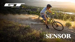 Meet the New GT Sensor, 2019