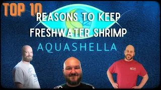 [Top 10] Reasons to Keep Freshwater Shrimp - 2022 Orlando Live Show