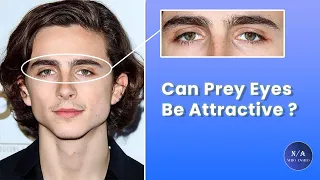 Can Prey Eyes Be Attractive ? Facial Attractiveness - (Blackpill Analysis)