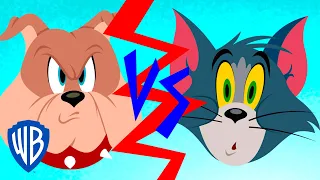 Tom y Jerry en Latino | Tom VS Spike | WB Kids