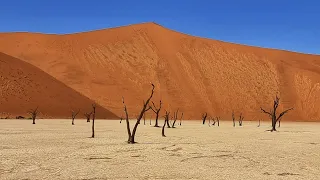 Most beautiful place in Namibia | Cycling Around The World | VLOG 50 🇳🇦