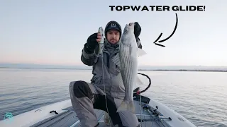 Late Fall Topwater Striped Bass Fishing - California Delta