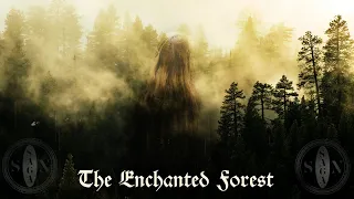 The Enchanted Forest | Magical Pagan Fantasy Music