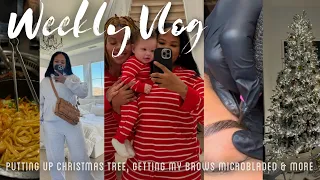 Weekly Vlog | Putting Up Christmas Tree, Getting Brows Microbladed, Ranting & More | Arnell Armon