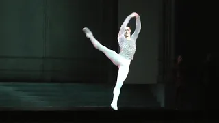 Hugo Marchand - Siegfried's solo (Act I)  Swan Lake/Le Lac des cygnes /Choreography : Rudolf Noureev