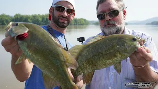 AlumaRyder Boats and Susquehanna River Guide Tony Cicero caught over 50 fish on Susquehanna River!