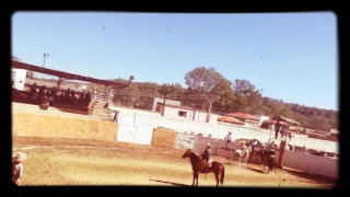 Watching guys lassoing a horse in mexico 🇮🇹😱