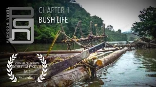 1/6: BUSH LIFE, PAPUA NEW GUINEA