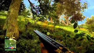 Far Cry 4 -- Gulo (rare honey badger)