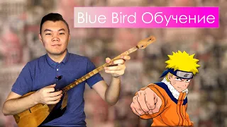 Naruto - Blue bird обучение на домбре. Домбырада Наруто ойнау видеоурок