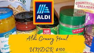 Aldi Grocery Haul for the Week | Under $100 Budget