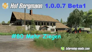 LS19 | Hof Bergmann 1.0.0.7 BETA1 | #80 Mehr Ziegen