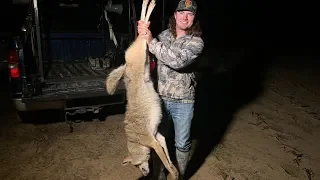 COYOTE Hunting! {Catch Clean Cook} Bad Idea
