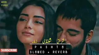 sharbati shundi zama | pashto slowed reverb