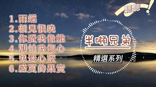 半吨兄弟精選 ｜雨蝶｜相見恨晚｜你愛我像誰｜別怕我傷心｜鬼迷心竅｜盛夏的果實 【動態歌詞】