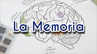 La Memoria - Neuroscienze 4 Dummies
