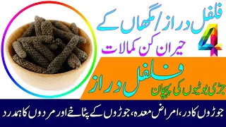 Filfil Daraz Ke 4 Fayde || Health Benefits Of Long Pepper || Maghan Ke Fayde