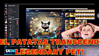 MIR4- EL PATATAS TRANSCENDS LEGENDARY PET | BETTER LUCK NEXT TIME!