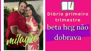 DIÁRIO DE GRAVIDEZ PRIMEIRO TRIMESTRE - BETA HCG TEM QUE DOBRAR? NOSSO MILAGRE DE DEUS