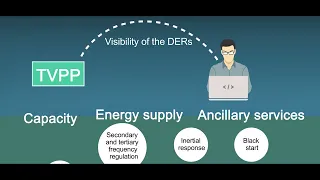 Virtual Power Plants (VPPs)