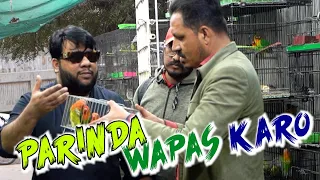 | Parinda Wapas Karo | By Nadir Ali & P4 Pakao Team | P4 Pakao | 2024