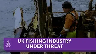 The immigration crackdown threatening UK's fishing industry