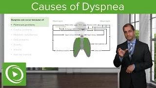 Causes of Dyspnea – Pulmonary Pathology | Lecturio