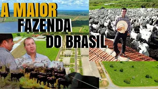 A HISTÓRIA DA MAIOR FAZENDA DO BRASIL. A Nova Piratininga!