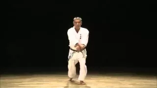 Pinan Yondan - Yasuhiro Uema Sensei