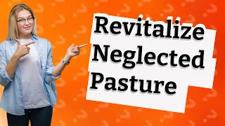 How Can I Revitalize an Old, Neglected Pasture?