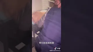 金毛感冒了