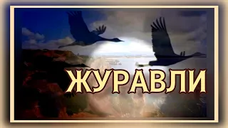 ПЕСНИ ПАМЯТИ. ПЕСНИ до СЛЁЗ..... ЖУРАВЛИ. ДМИТРИЙ ХВОРОСТОВСКИЙ. 9 МАЯ. 2016 г. 307.