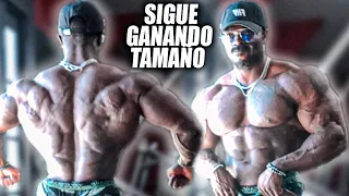 RUFF DIESEL SIGUE GANANDO TAMAÑO MUSCULAR PARA LLEGAR EN SU PRIME CONTRA CBUM - Victor Valdivia