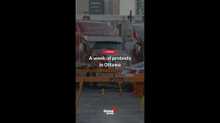 What it's like to live downtown Ottawa during trucker protests #shorts #truckerconvoy2022