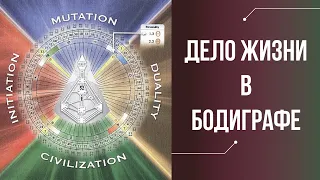 ГДЕ НАЙТИ ДЕЛО ЖИЗНИ В БОДИГРАФЕ / Четверть предназначения / ДИЗАЙН ЧЕЛОВЕКА