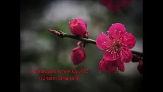 Frühlingsstimmen Op.410 (Voices of Spring)봄의소리왈츠-Johann Strauss ll-오카리나연주 오카씨경희(OcassyKyungHee)
