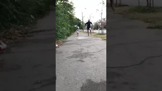 Бег 🏃‍♀️ Жизнь Шарпея (sharpei)