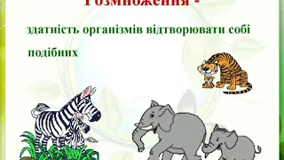 Організм та його властивості  Клітинна будова організмів (частина 1)