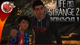 СТРИМ ИГРЫ LIFE IS STRANGE 2: EP 1 ДОРОГИ | ПОЛНОЕ ПРОХОЖДЕНИЕ ЭПИЗОДА 1: ДОРОГИ