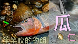 路亞入門-一個幾乎竿竿咬的釣組擺脫釣況低迷的入門者#瓜子仁釣組#筏子溪#溪哥#紅貓#馬口#