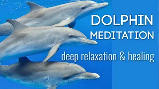 Dolphin Meditation with Time Line Healing & Gentle Kundalini Activation
