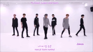 BTS (방탄소년단) 'Blood Sweat & Tears (피 땀 눈물)' Dance Practice Mirrored w/ Lyrics (Color Coded)