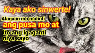 DAHILAN KUNG BAKIT KA DAPAT MAY ALAGANG PUSA ! Health Benefits ng Pusa sa Tao