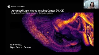 Laura Batti: ALICe, Advanced Lightsheet Imaging Center.