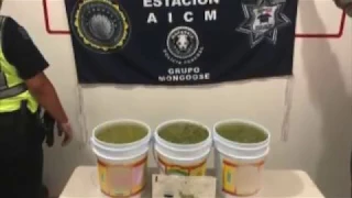 Policía Federal detecta metanfetamina oculta en baba de nopal