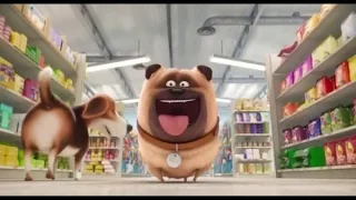 The secret life of pets uk release date| The secret life of pets characters