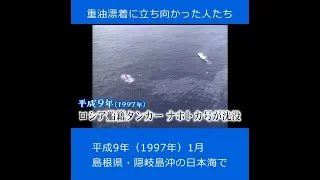 【現場から、】平成の記憶、重油漂着に立ち向かった人たち