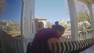 Woman Screams In Horror As Mouse Chases Her - 1164129